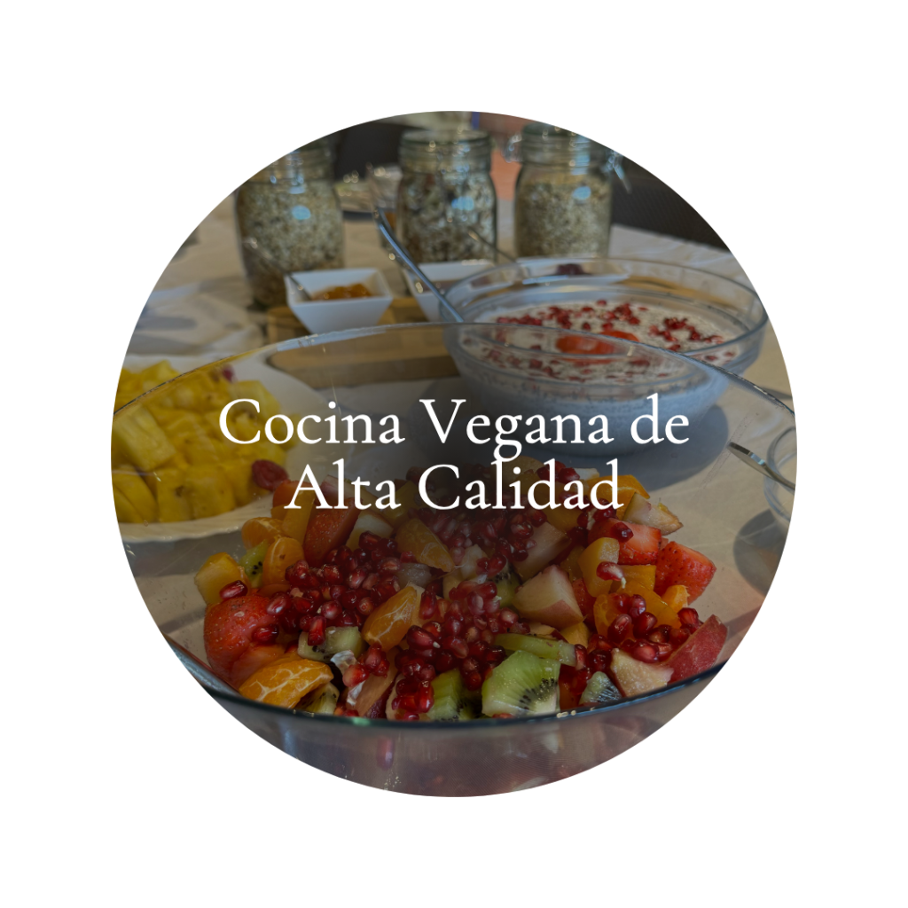Disfrute de comidas a base de plantas cuidadosamente elaboradas con ingredientes frescos y de alta calidad. Cada plato está diseñado para nutrir su cuerpo, complementar su experiencia holística y apoyar su proceso de curación.