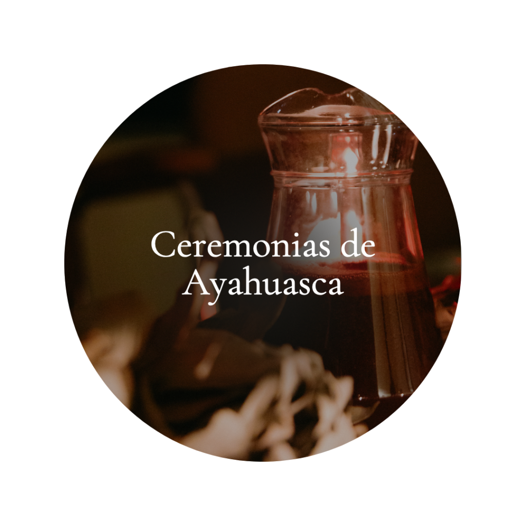 Experimente ceremonias de ayahuasca guiadas por curanderos expertos, que ofrecen un espacio seguro y sagrado para el autodescubrimiento. Conéctese con la sabiduría ancestral, libere bloqueos emocionales y abrace la transformación espiritual.