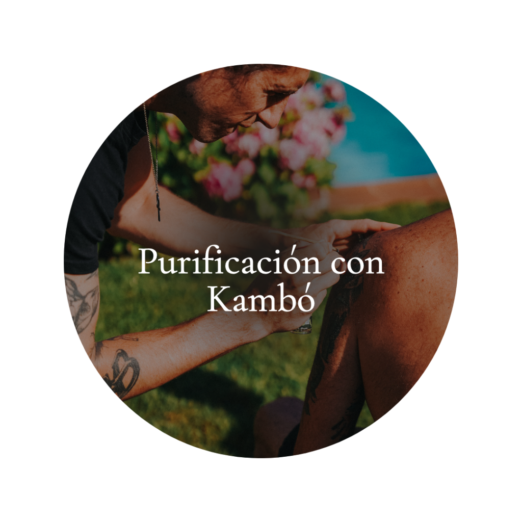 El kambó es un potente desintoxicante amazónico que purifica el cuerpo, refuerza la inmunidad y fomenta la liberación emocional. Experimente la renovación, el equilibrio y una conexión más profunda con su fuerza interior.