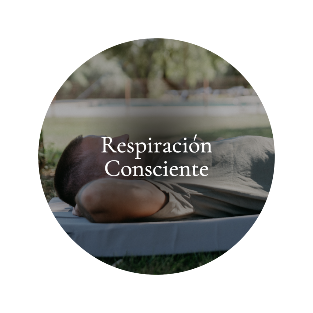 Explora el poder transformador de la respiración intencional. Aprende técnicas para liberar el estrés, acceder a la profundidad emocional y mejorar la claridad mental, abriendo caminos para la sanación y el crecimiento personal.
