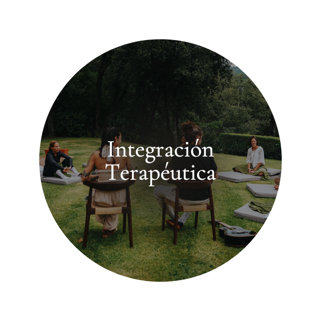 Reciba orientación de expertos que lo ayudarán a procesar e integrar los conocimientos adquiridos durante el retiro. Estas sesiones garantizan que su crecimiento personal continúe sin problemas en su vida cotidiana.